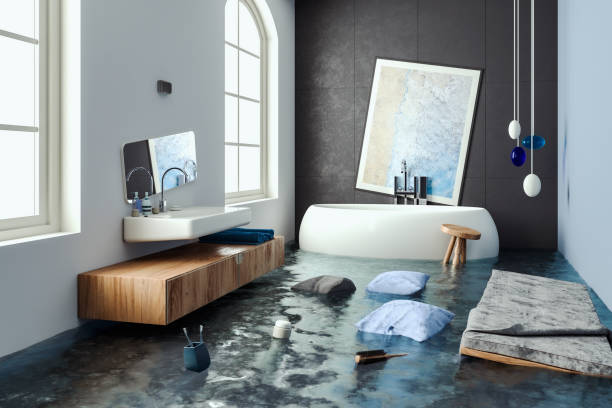 Best Local water damage restoration  in Fairfax, MN
