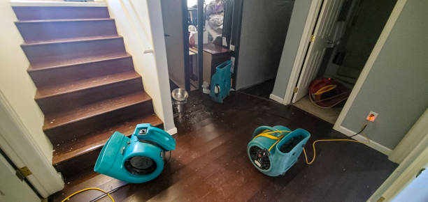Professional Water damage restoration in MN