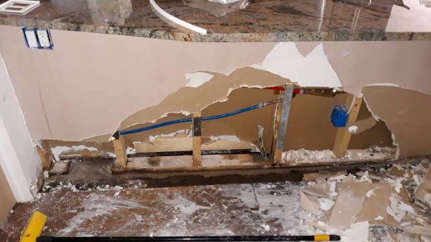 Best Water damage cleanup near me  in Fairfax, MN