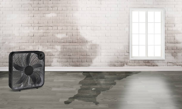 Best Residential water damage restoration  in Fairfax, MN