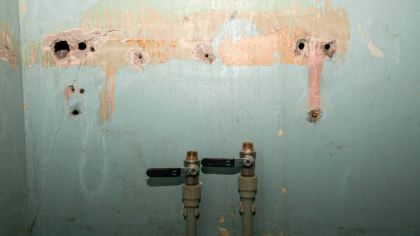 Best Mold removal after water damage  in Fairfax, MN