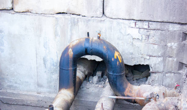 Best Flood restoration services  in Fairfax, MN