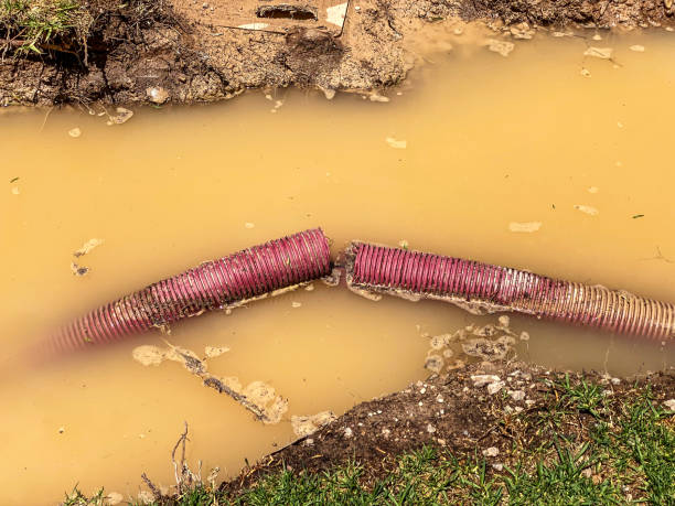 Best Sewage cleanup and water damage restoration  in Fairfax, MN