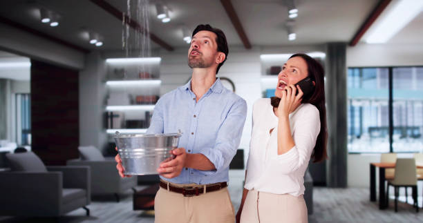  Fairfax, MN Water damage restoration Pros