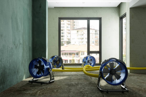 Best 24-hour water damage restoration  in Fairfax, MN