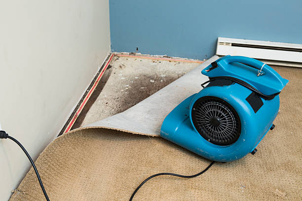 Best Commercial water damage restoration  in Fairfax, MN